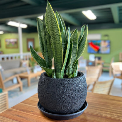 VT43ABCD - Jardinière en mousse légère et béton