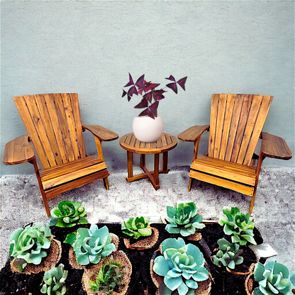 Ensemble Adirondack et table ronde