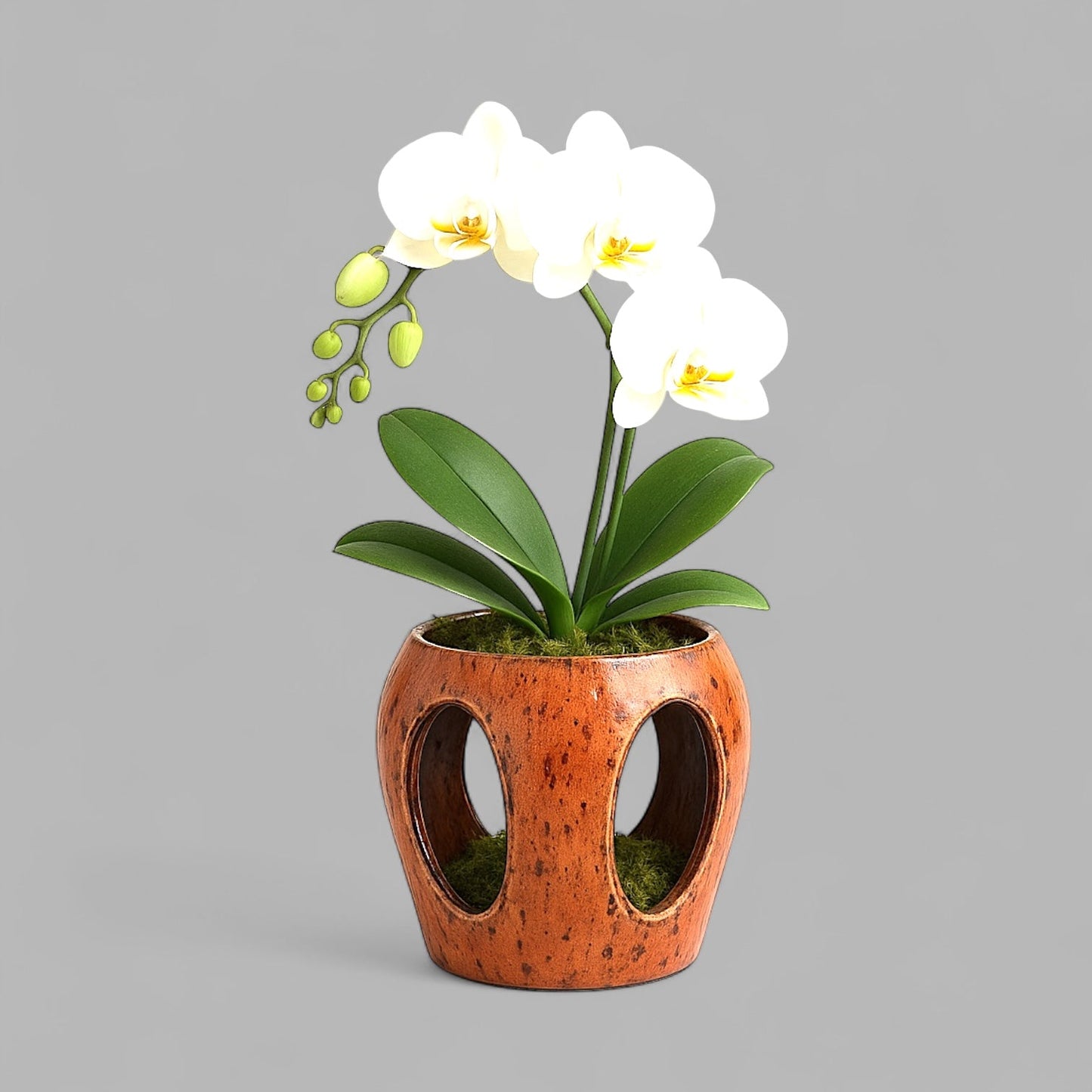 VT-ORC-P10 - Pot à orchidées Makaha