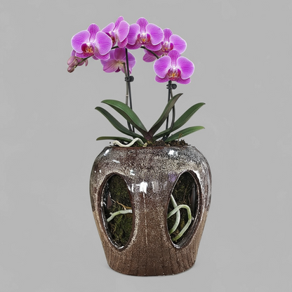 VT-ORC-P10 - Pot à orchidées Makaha