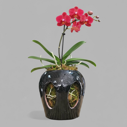 VT-ORC-P10 - Pot à orchidées Makaha