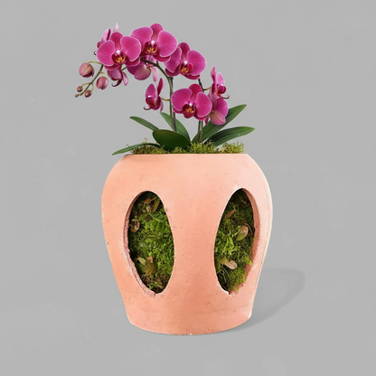 VT-ORC-P10 - Pot à orchidées Makaha