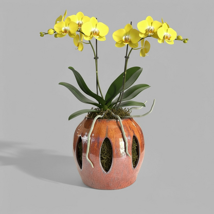 VT-ORC-P9 - Pot à orchidées Alohi