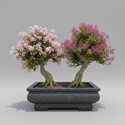 VTA101 - Jardinière à bonsaï rectangulaire