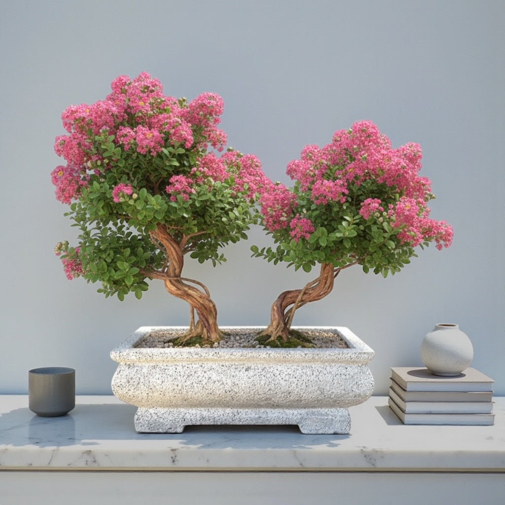 VTA101 - Jardinière à bonsaï rectangulaire