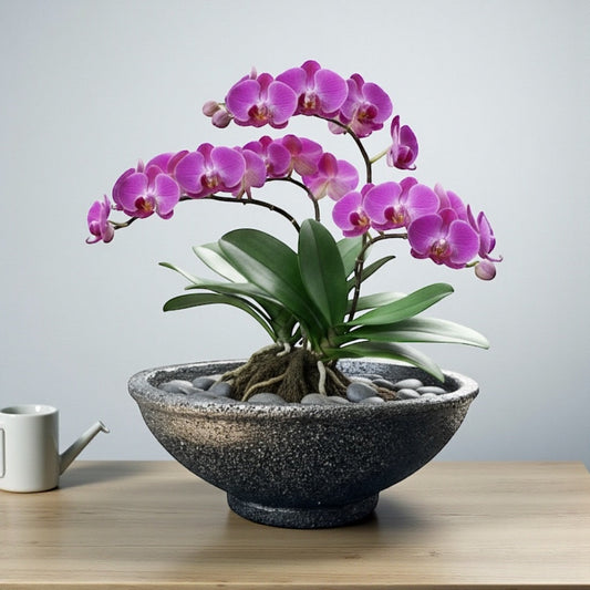 VTA123 - Pot à bonsaï rond