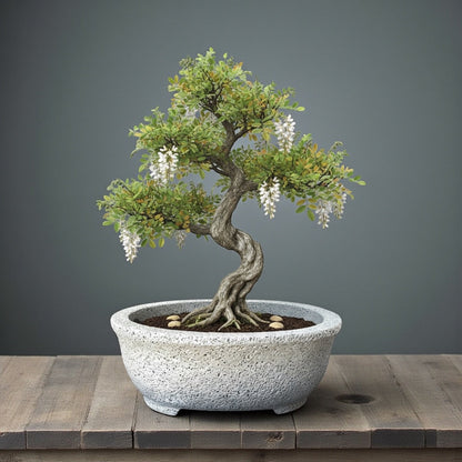 VTA1112 - Jardinière ovale pour bonsaï