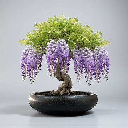 VT125ABCD - JARDINIER EN TERRAZZO CALABASH