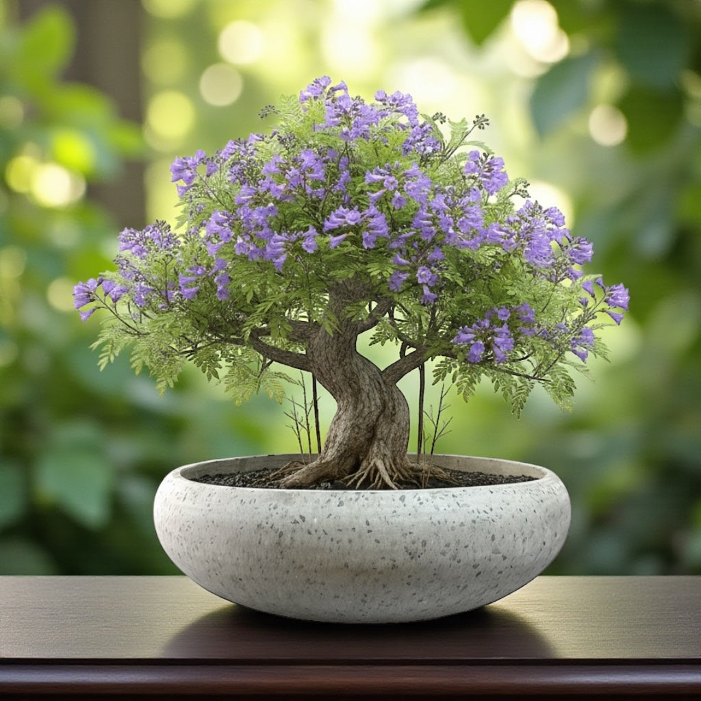 VT125ABCD - JARDINIER EN TERRAZZO CALABASH