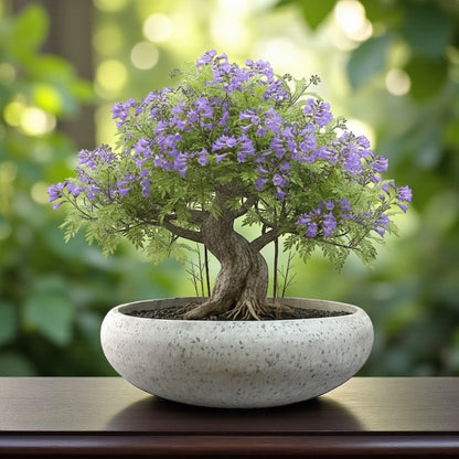 VT125ABCD - JARDINIER EN TERRAZZO CALABASH