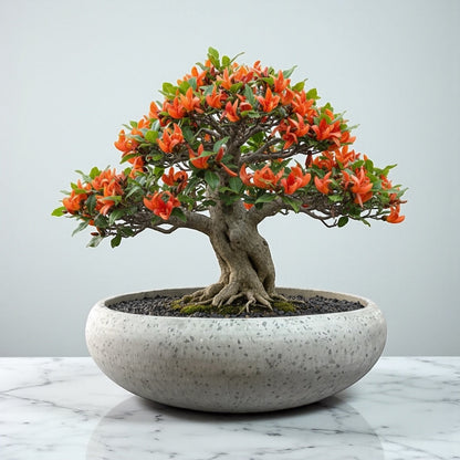 VT125ABCD - JARDINIER EN TERRAZZO CALABASH