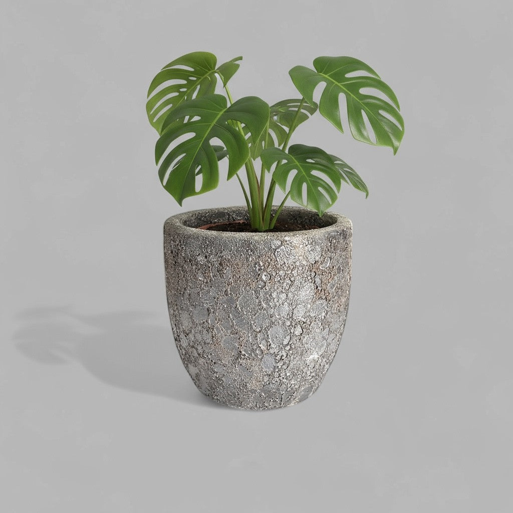 VT-ORC-P5 - Pot Nohea