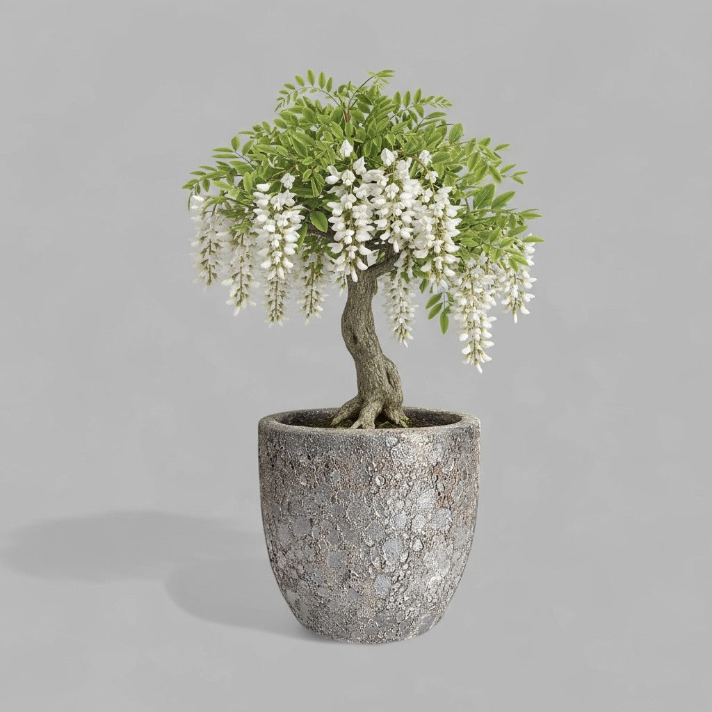 VT-ORC-P5 - Pot Nohea