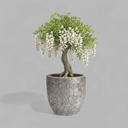 VT-ORC-P5 - Pot Nohea