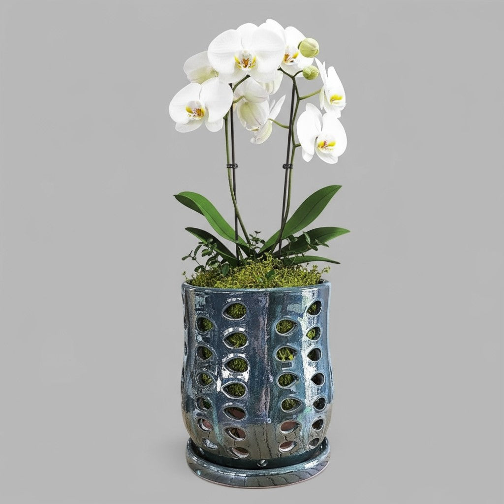 VT-ORC-P7 - Pot à orchidées Puka
