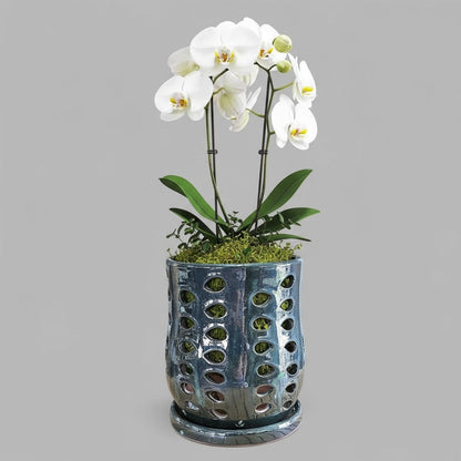 VT-ORC-P7 - Pot à orchidées Puka