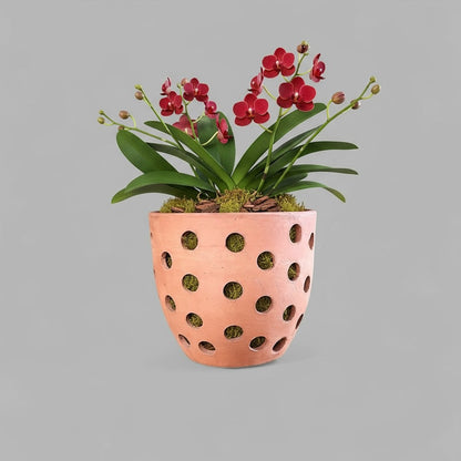 VT-ORC-P1 - Pot à orchidées Ulu
